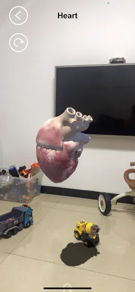 Game screenshot AR Human Organs mod apk