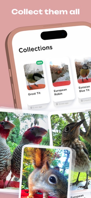 Bird Buddy: Tap Into Nature on the App Store