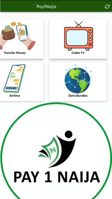 Pay1Naija Screenshot