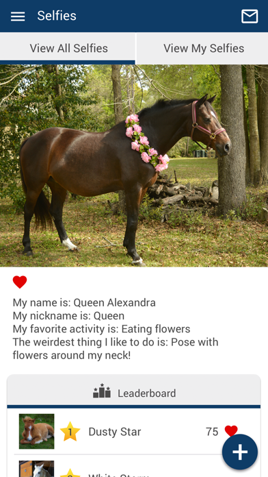 Mandarin Equine Veterinary Screenshot