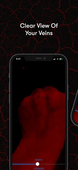 Game screenshot X-Vein hack