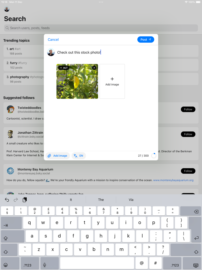 Graysky, a Bluesky client