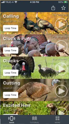 Game screenshot Turkey Calls for Hunting apk