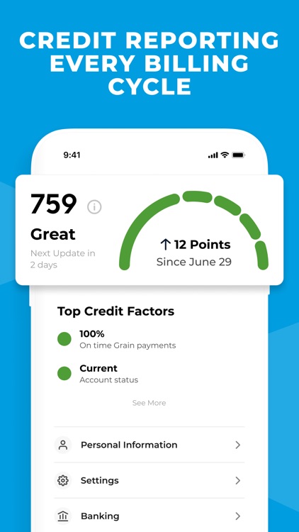 Grain: The Digital Credit Card screenshot-3