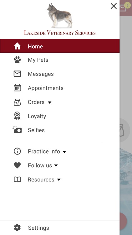 Lakeside Vet screenshot-4