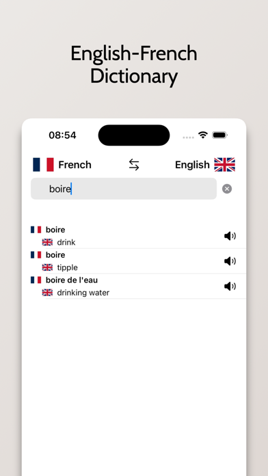 French-English Dictionary Screenshot