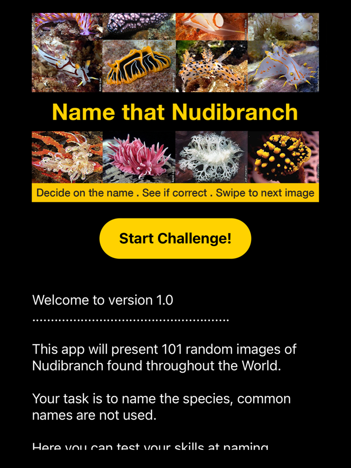 Name that Nudibranch