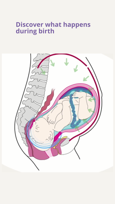 Giving Birth Explained Screenshot