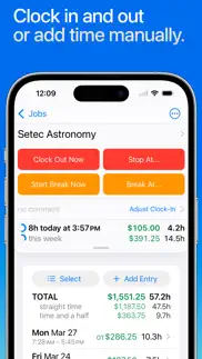 hours tracker: time tracking iphone screenshot 2