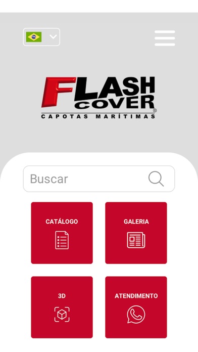 Flash Cover Screenshot