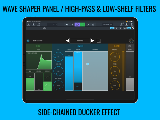 BLEASS Reverb iPad app afbeelding 2