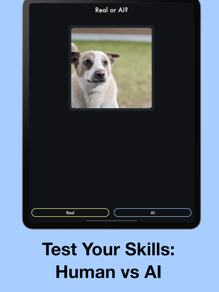 Real or AI Photo Challenge