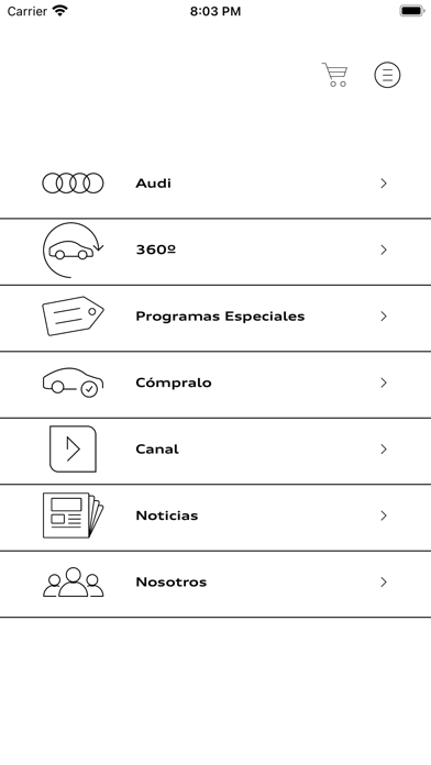 AUDI Clase Screenshot