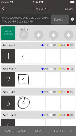 Game screenshot McCullough's Emerald Golf apk