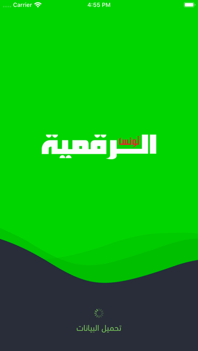 Tunisie Numerique Screenshot