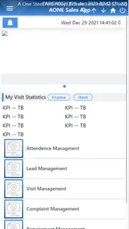 aone crm problems & solutions and troubleshooting guide - 4