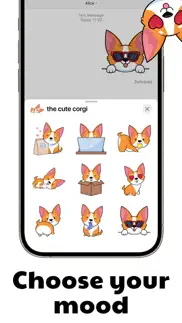 shy cute corgi iphone screenshot 2