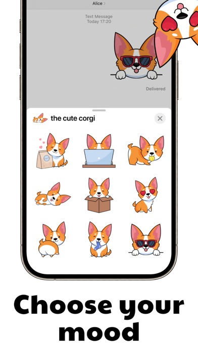 shy cute corgi Screenshot