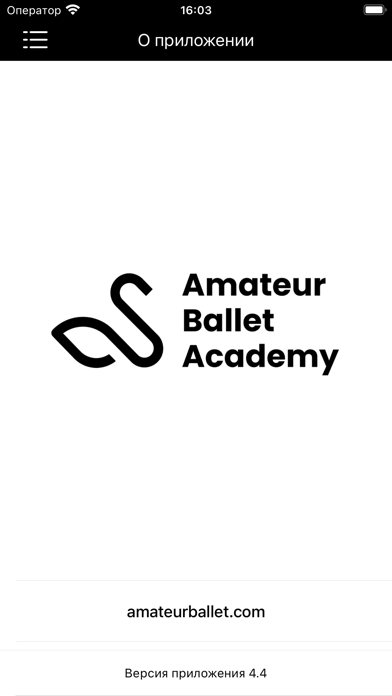 Amateur Ballet Screenshot