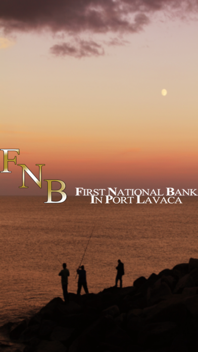 First National Bank PortLavaca Screenshot