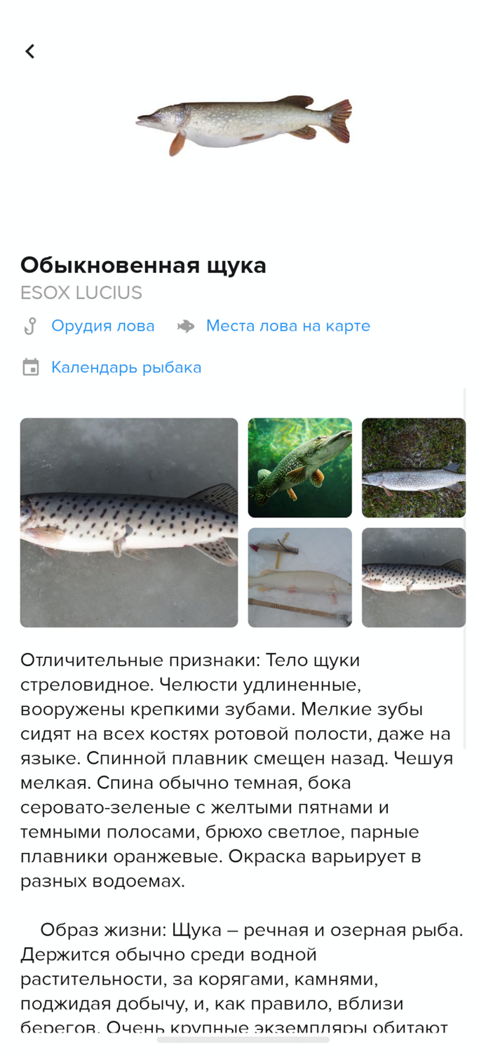 Умная рыбалка