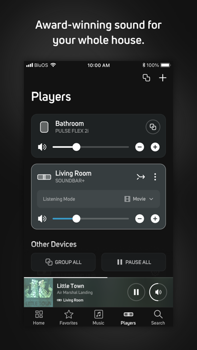 BluOS Controller Screenshot