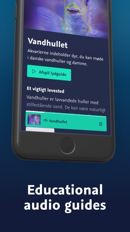 National Aquarium Denmark