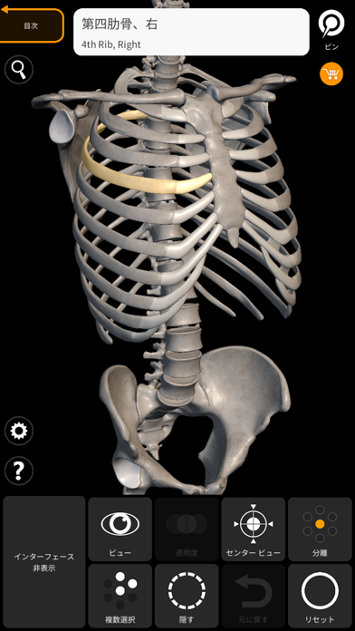 骨格 - 解剖学3D アトラスのおすすめ画像2
