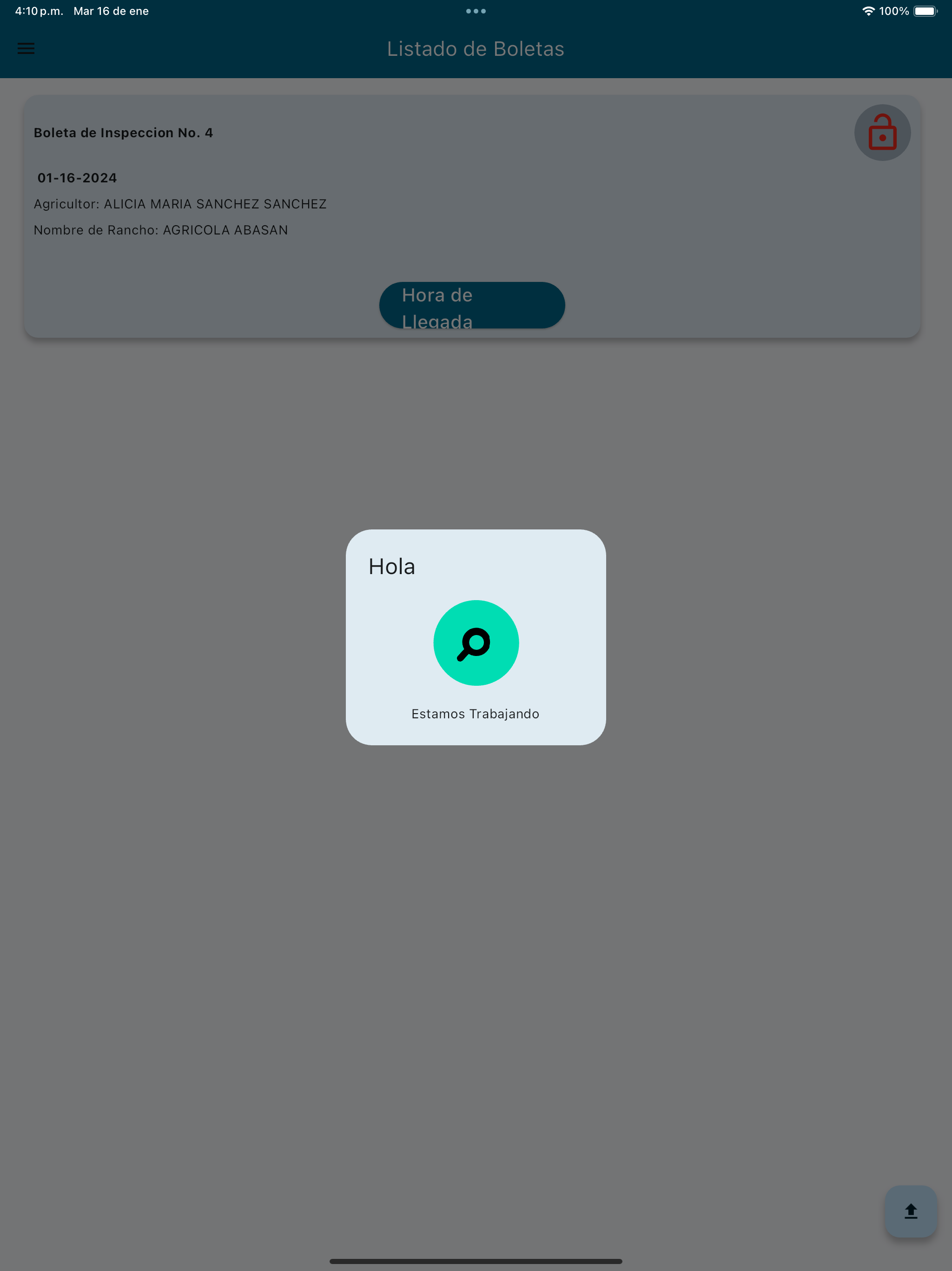 TCI Audit App