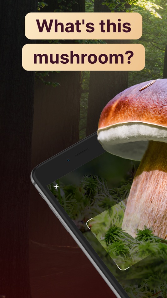 #1. AI Mushroom Identifier App (iOS) 由: DMYTRO CHERNOV