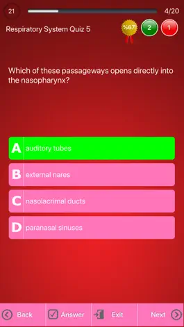 Game screenshot Respiratory System Trivia hack