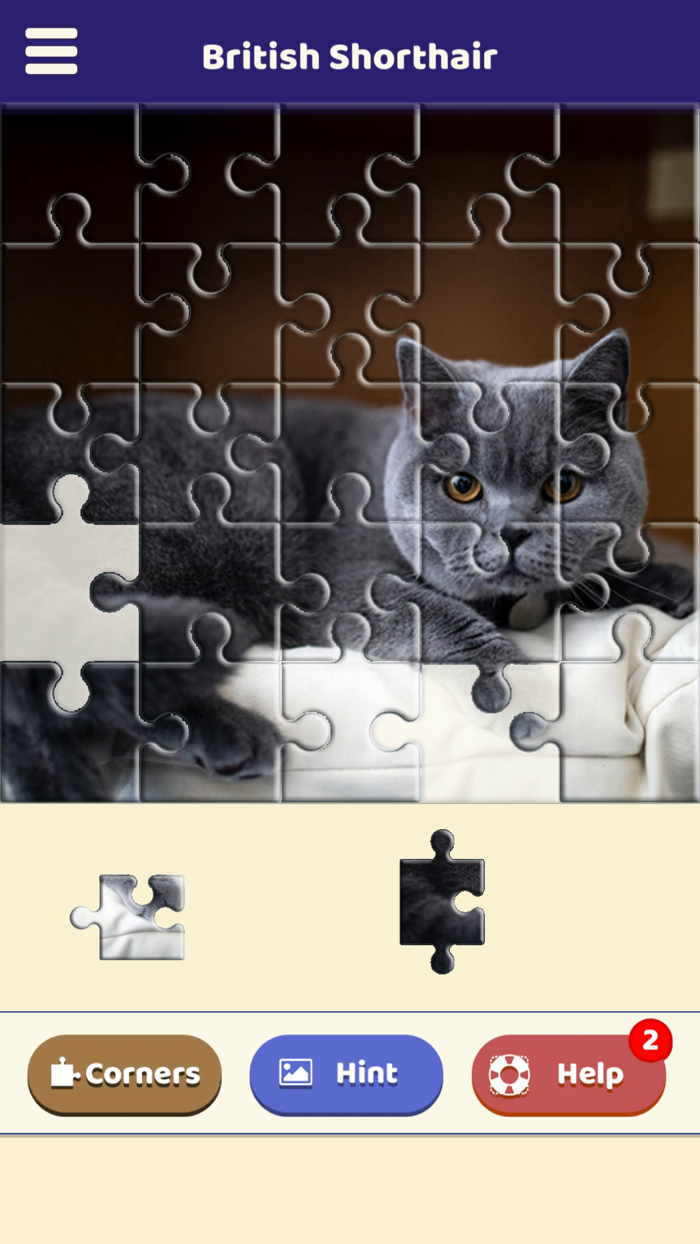 British Shorthair Puzzle