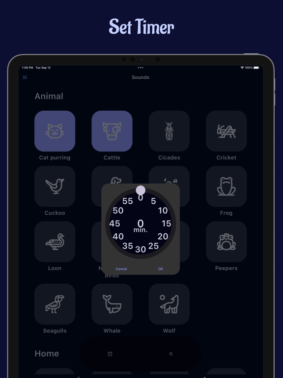 Sleep Sound iPad screenshot 2 - Health & Fitness app