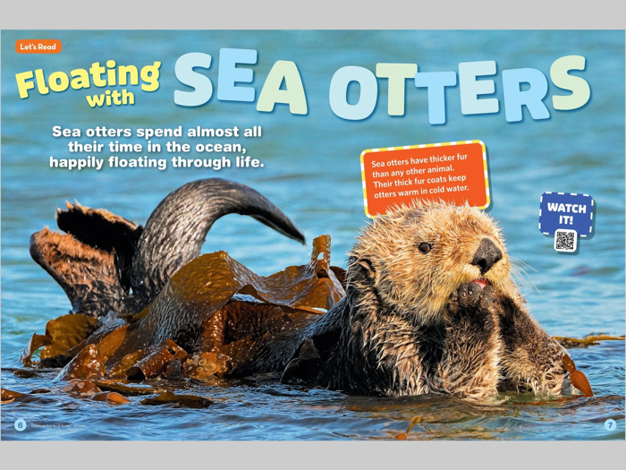 Ranger Rick Jr. Magazine