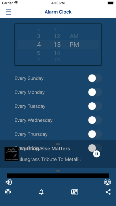 Electric City Bluegrass Screenshot