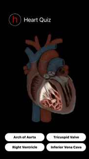 human heart anatomy quiz iphone screenshot 1