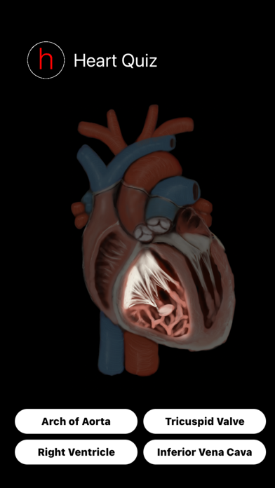Human Heart Anatomy Quiz Screenshot
