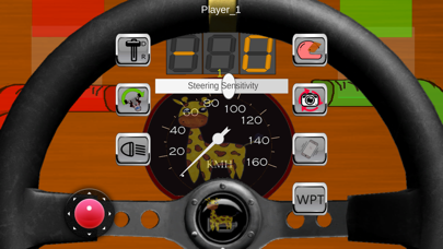 GoKartNM Steering Wheel Screenshot