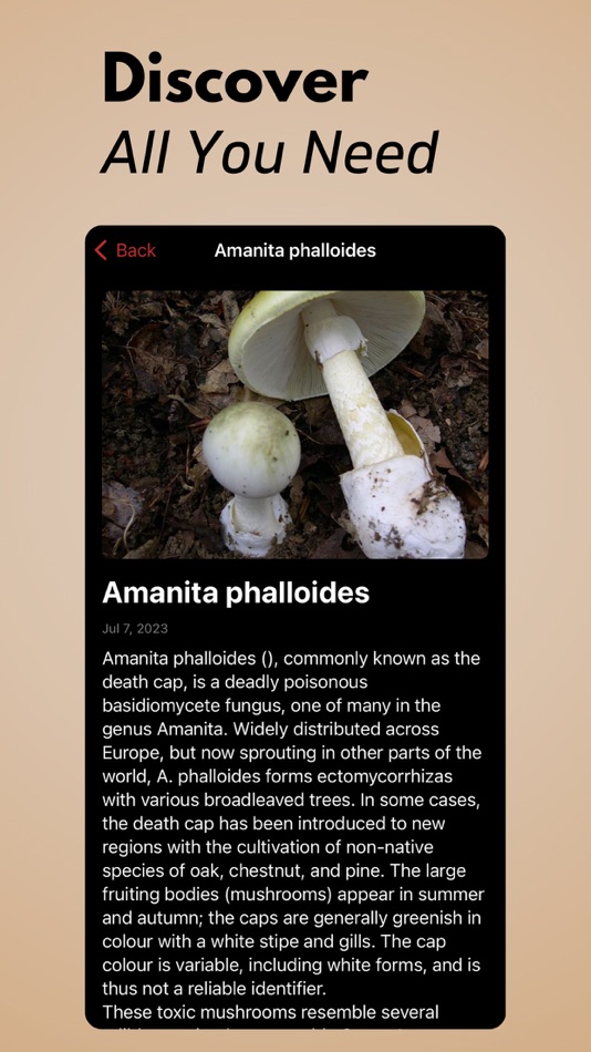 #4. Mushroom Identifier AI (iOS) Podle: Arda Sen