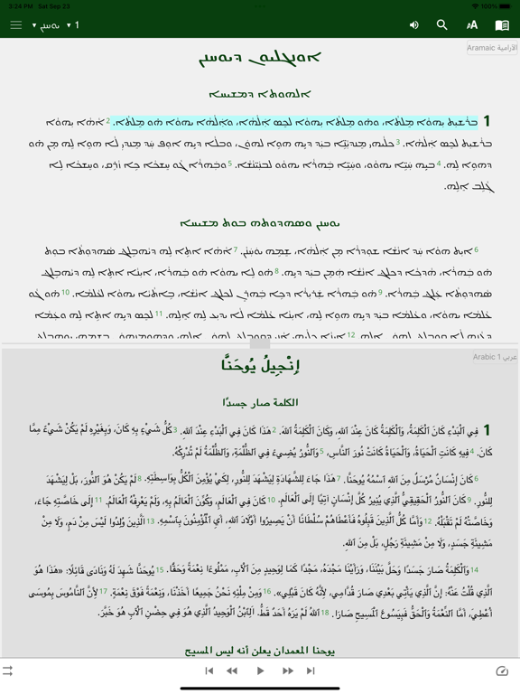 Screenshot #5 pour Assyrian Aramaic English
