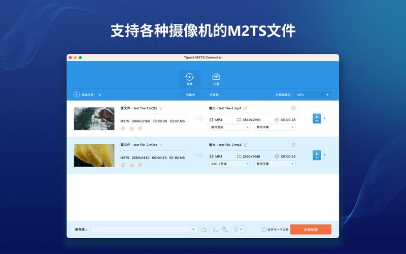 Tipard M2TS转换器