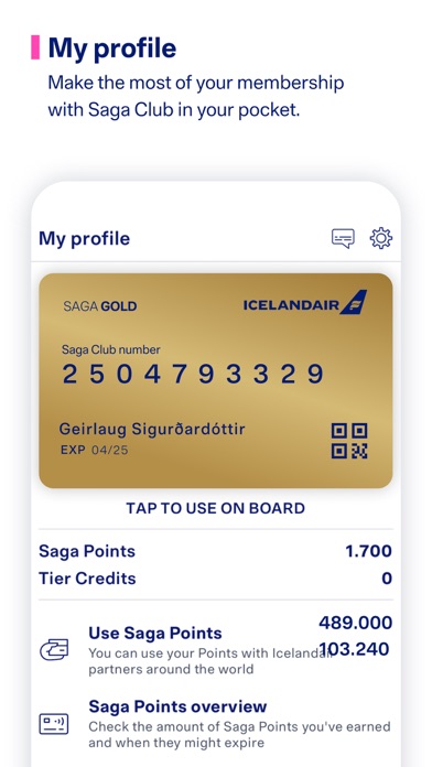 Icelandair Screenshot