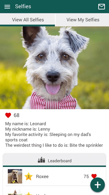 PPVC Vet screenshot-3