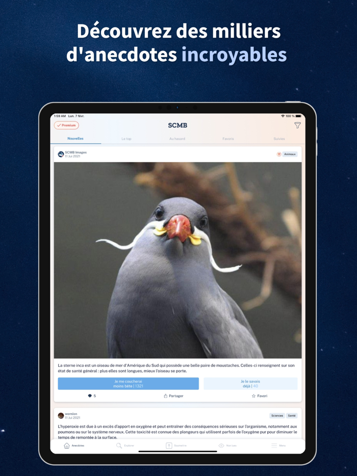 Se Coucher Moins Bête