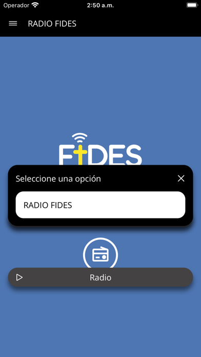 Radio Fides Online Screenshot