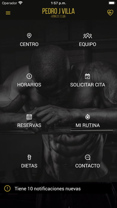 Gym Pedro J Villa Screenshot