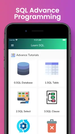 Game screenshot Learn SQL Database Programming apk