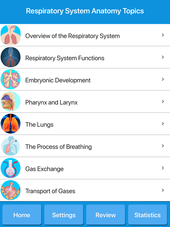 Screenshot #5 pour Respiratory System Anatomy