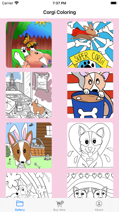 Corgi Coloring School Edition Screenshot