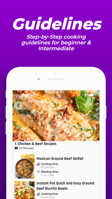 Lunch Recipes Pro Screenshot